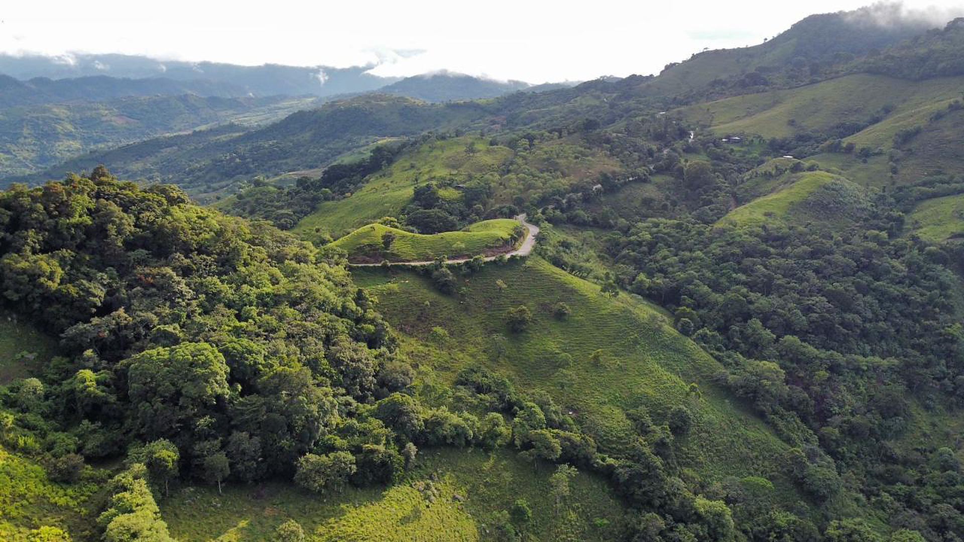 Vista aérea de las montañas verdes de Naranjito, Santa Bárbara, con un camino que serpentea entre las laderas
